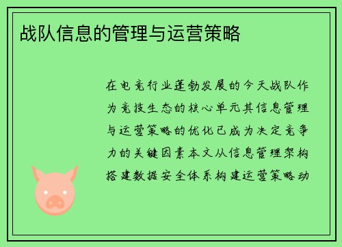 战队信息的管理与运营策略