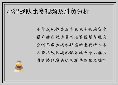 小智战队比赛视频及胜负分析